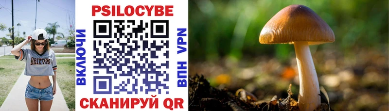 купить наркотики цена  Орлов  Галлюциногенные грибы мухоморы 